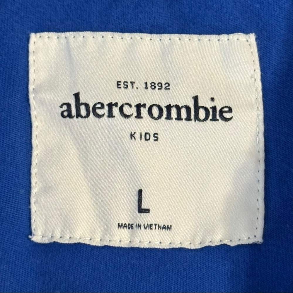 Abercrombie Kids Long Sleeve Henley Boys L Blue Logo Sleeve Moose Embroidery - Picture 4 of 5